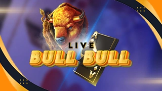 Live Bull Bull